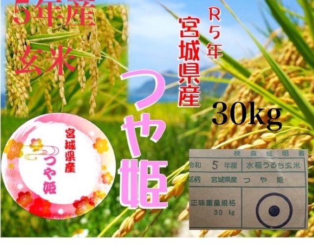 5年 宮城県産 つや姫 1等米 玄米 30kg お米 - メルカリ 5年 宮城県産 つや姫 1等米 玄米 30kg お米 - メルカリ