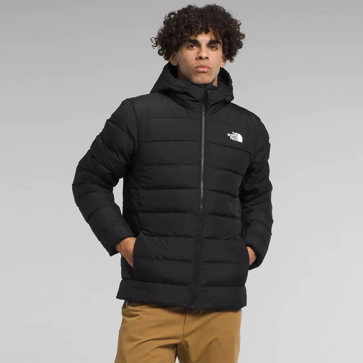 USA規格 THE NORTH FACE Aconcagua 3 Down Hoodie ダウンジャケット NF0A84I1