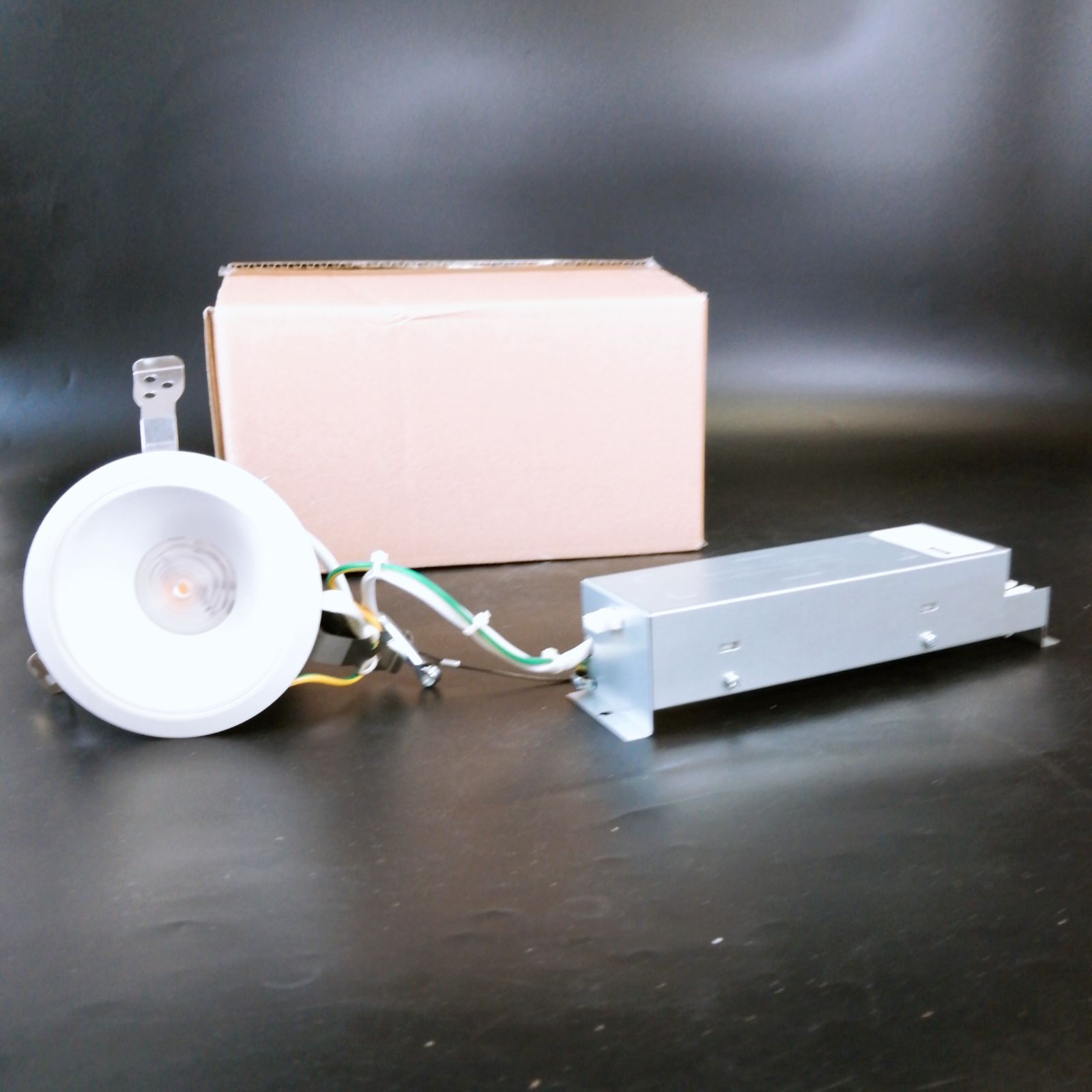 IRIS ECOHILUX LEDダウンライト 9台 IRIS ECOHILUX LEDダウンライト 9台