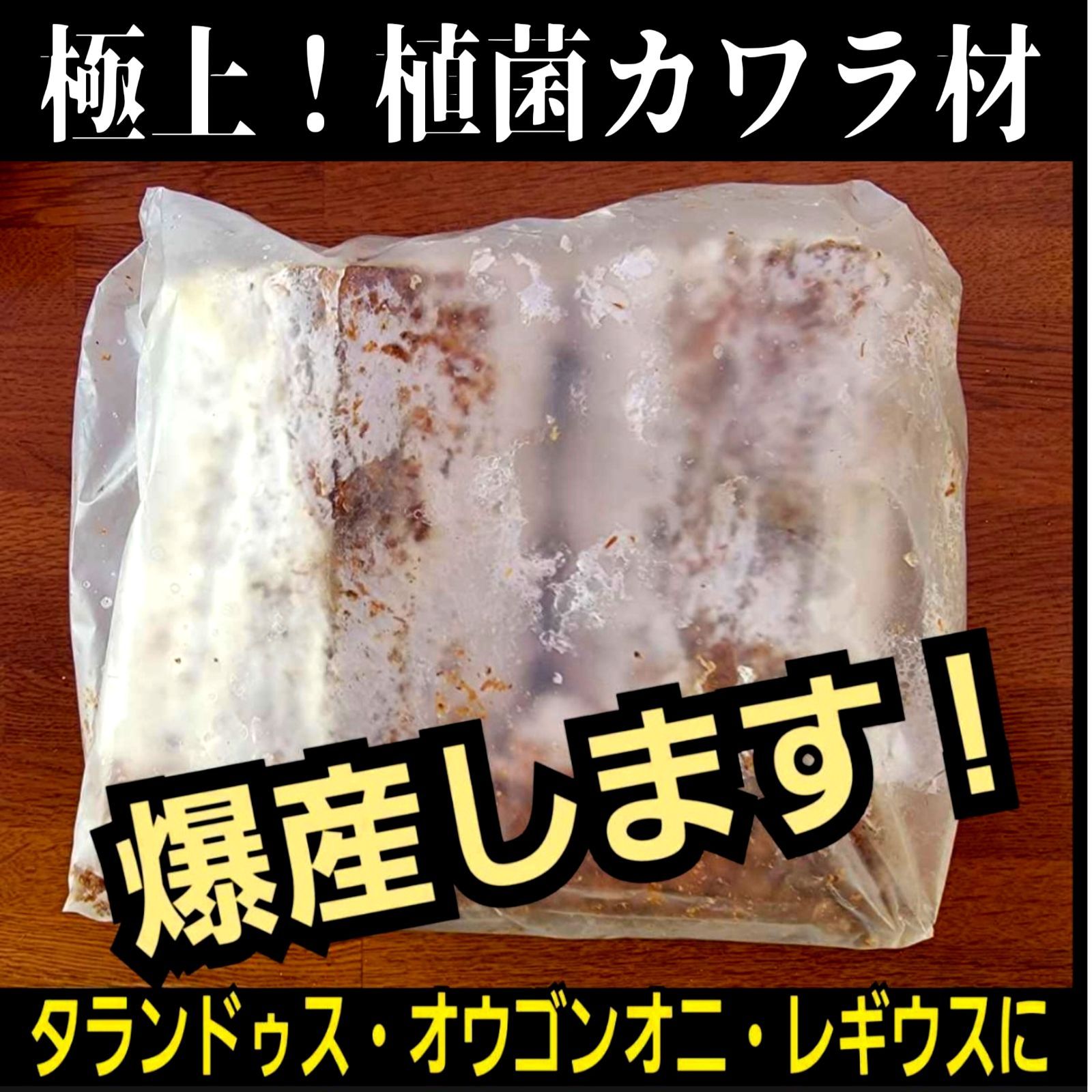 植菌カワラ材 クワガタを産卵させるならコレが1番です
