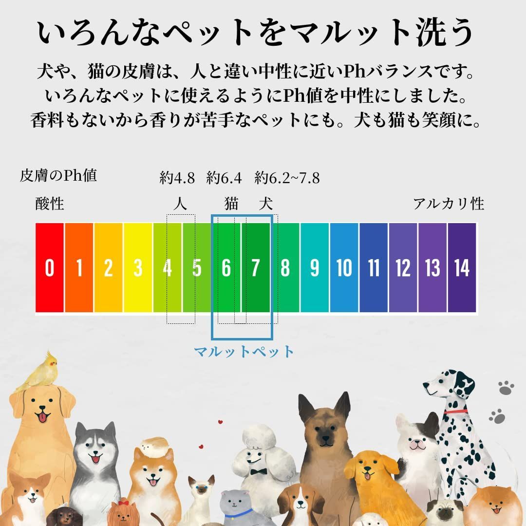 肌荒れ の悩みに