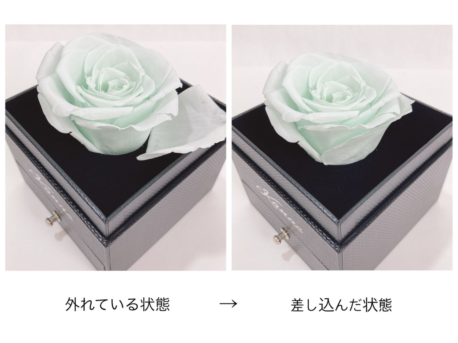 にじさんじ　叶　ジューンブライド　ローズボックス入りリング＆ネックレスセット にじさんじ・叶やフレンらの“リング&ネックレスセット”…！8人の