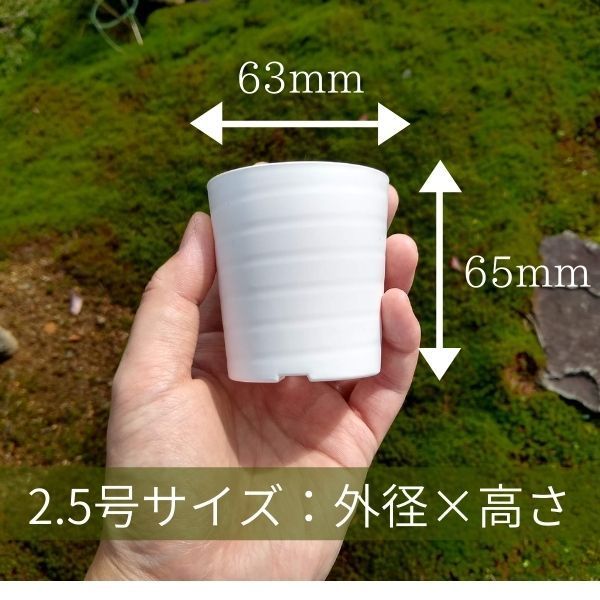 セラアート 植木鉢 2.5号 × 25個 ミニプラスチック鉢 おしゃれ 小さい マット スリット 多肉 塊根植物 ブラック ホワイト