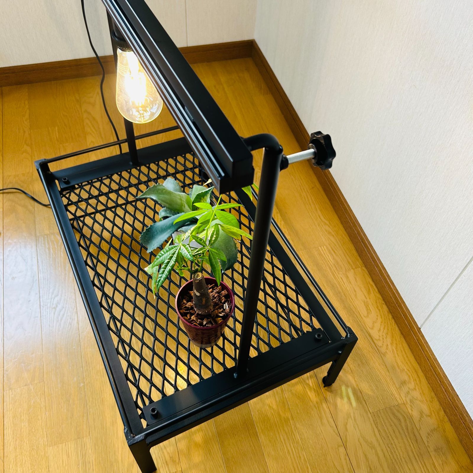 メッシュプランターラック 受け皿付き ダクトレール 64cm x 売れ筋