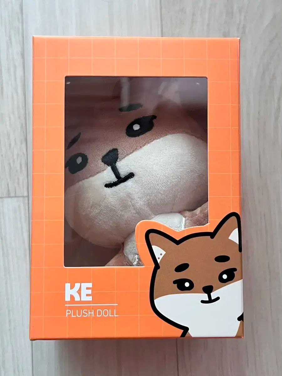 DAY6 The Present YoungK KE ぬい DAY6 デニマルズ 2019 KE YoungK