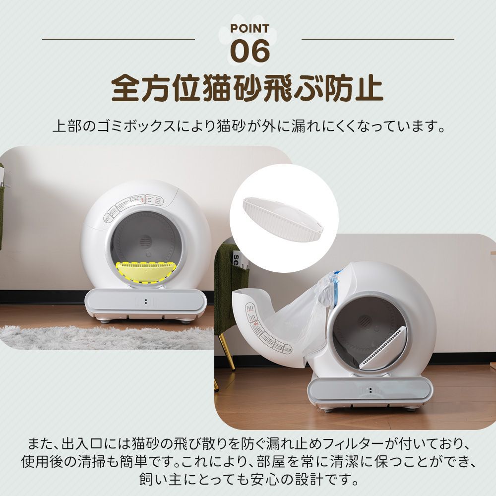 掃除