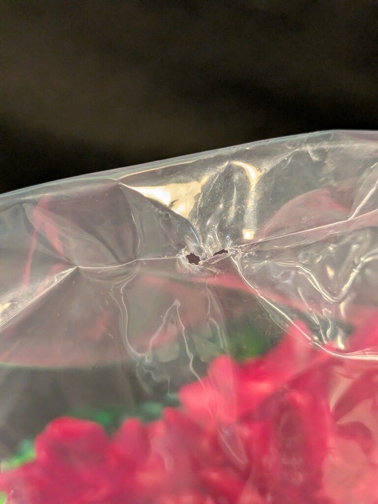 3期