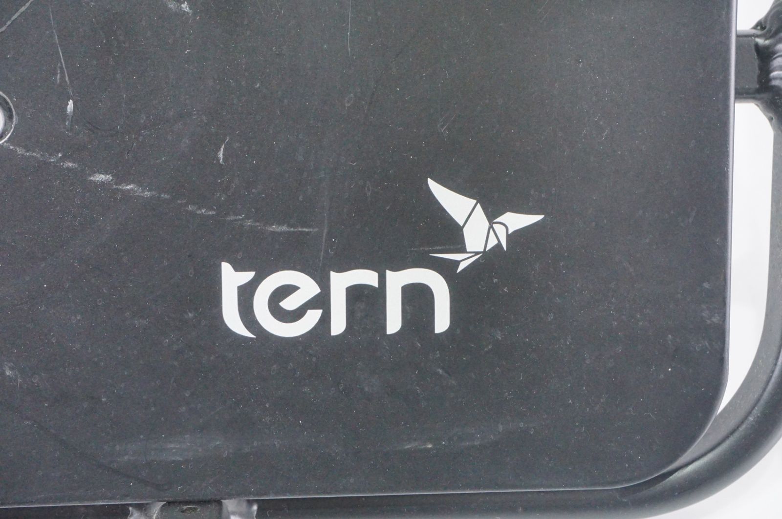 TERN