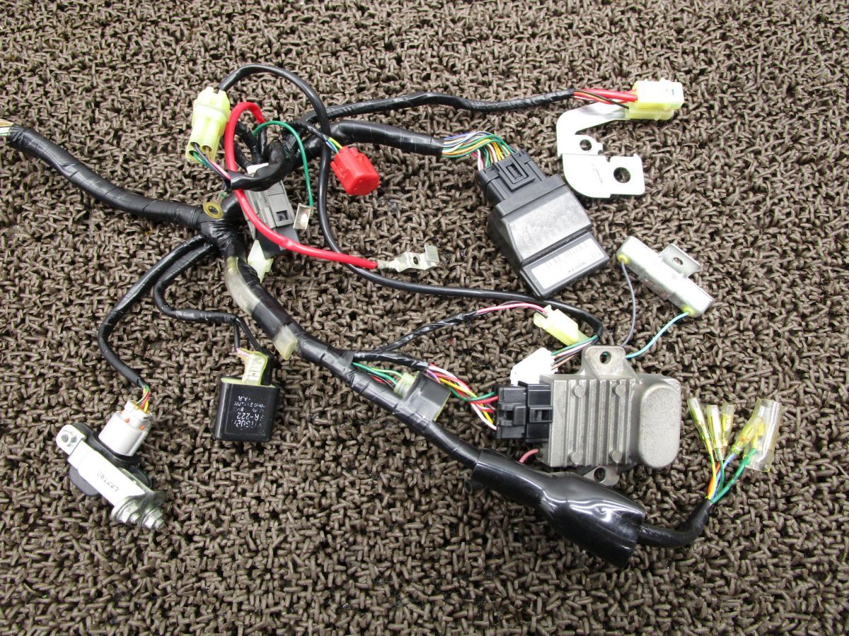 リトルカブ メインハーネス △V999 イグナイター レギュレター イグニッションコイル AA01 ホンダ AA02E 動画有 インジェクション 12V