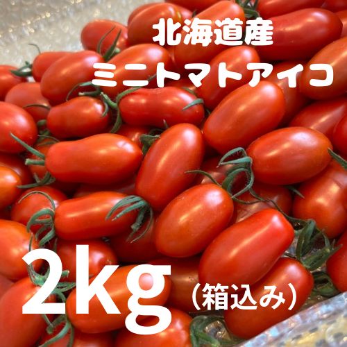 のサムネイル