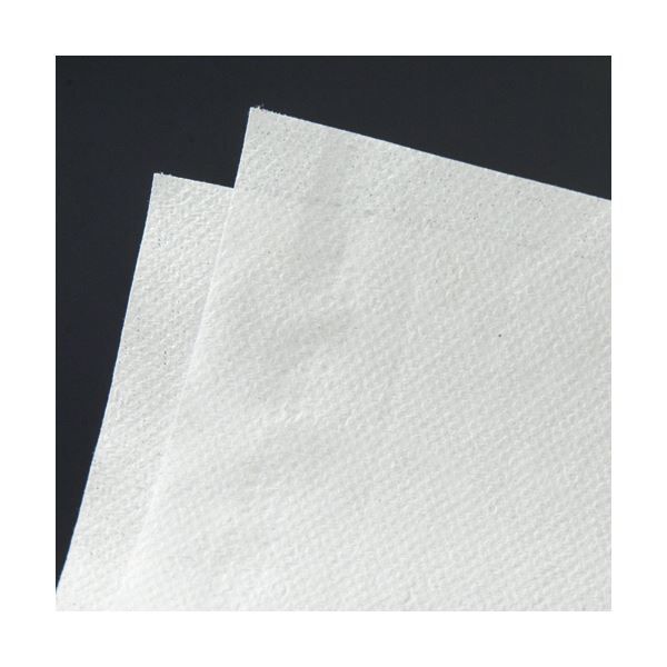 TANOSEEペーパータオル 抗菌 ダブル エコノミー 200組 パック