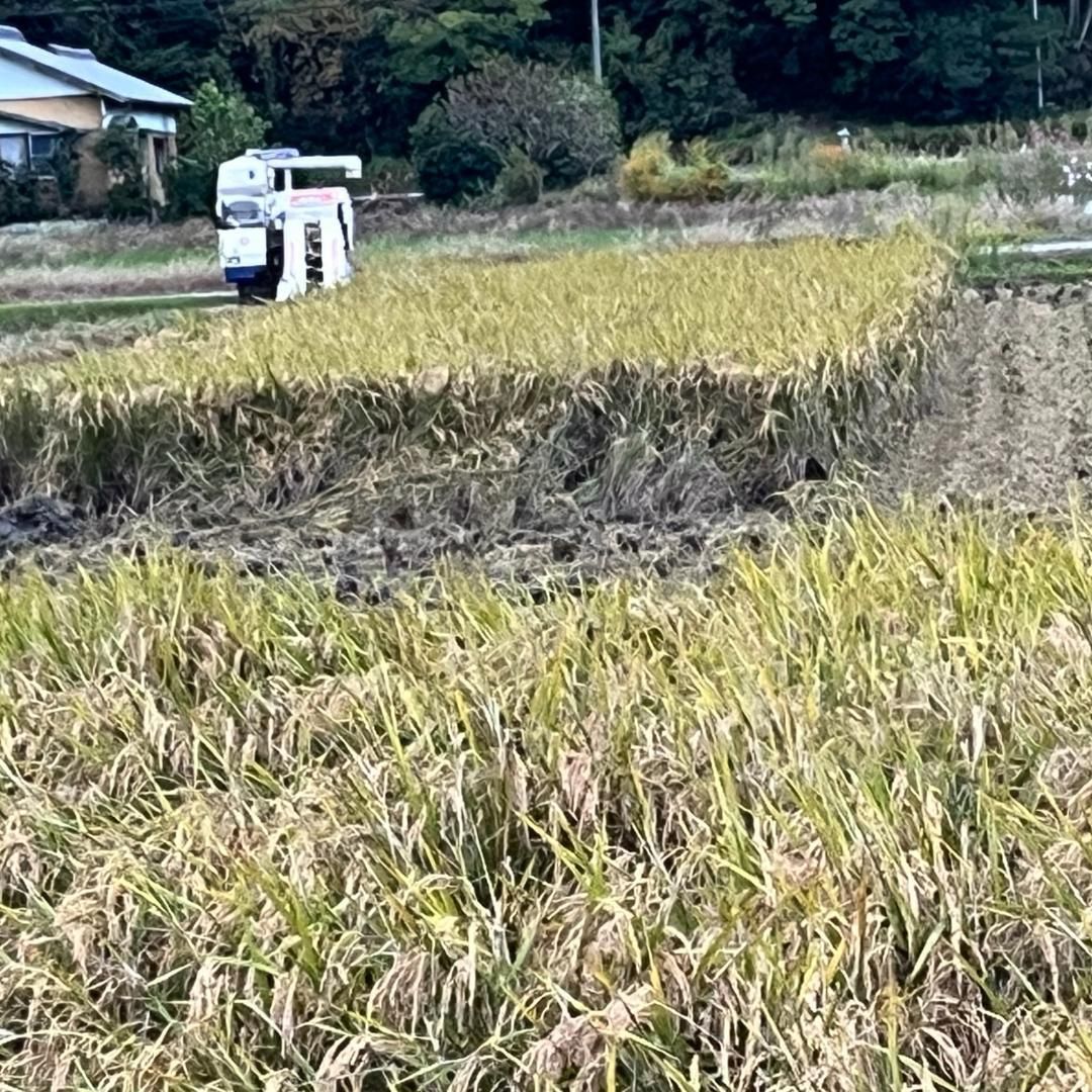 米5kg