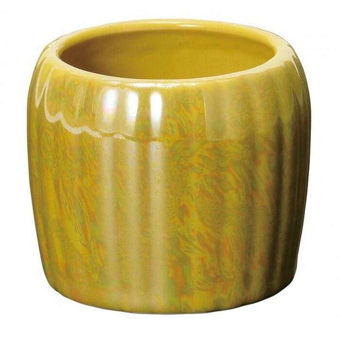 鳳華 ほうか 6点セット ライムイエロー 32E300R200072 SKLAD-KIRPICHA_RU