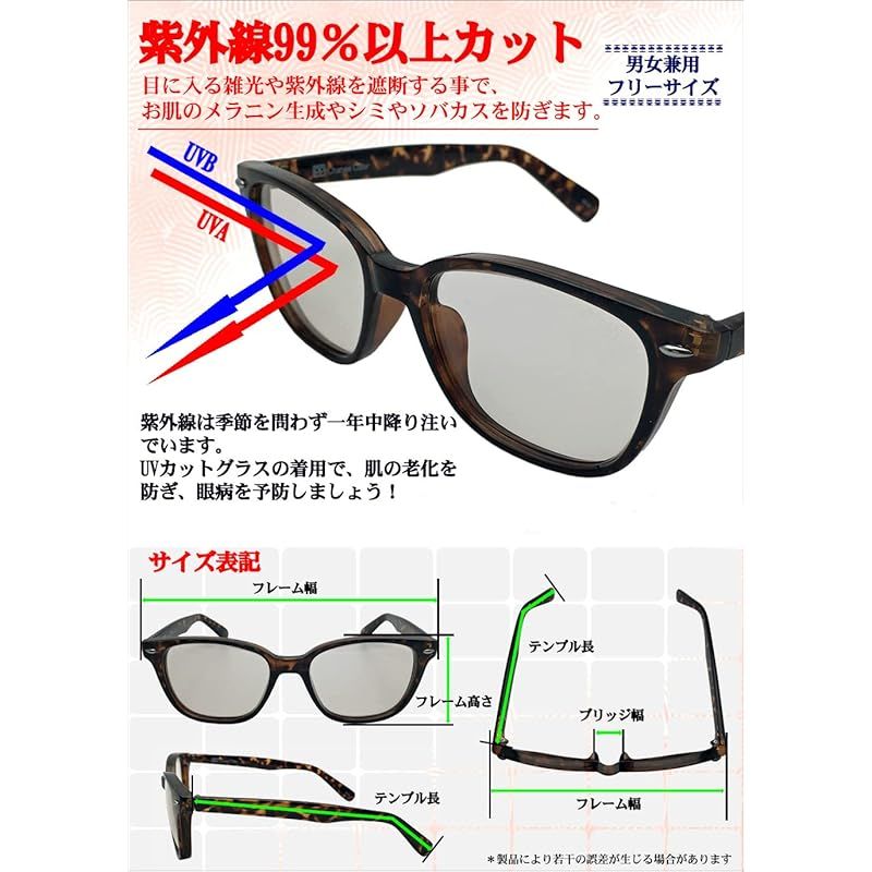 artPLANTs フラワー・ガーデニング ココスヤシシルバーリーフ【双子