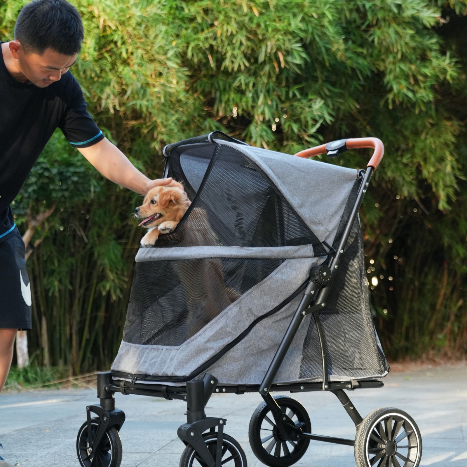 中型犬 小型犬