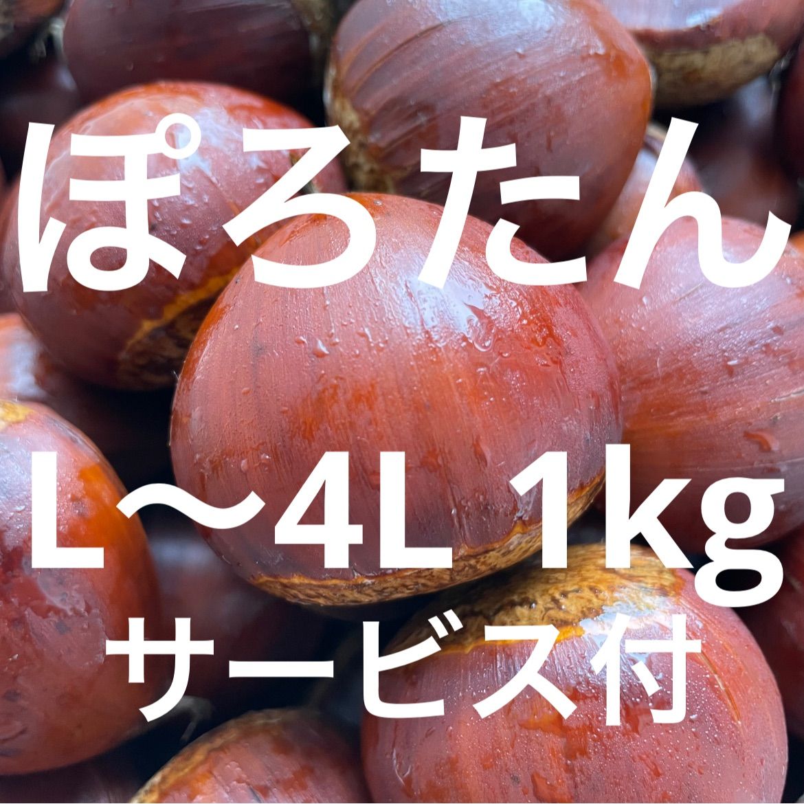 風味豊かで大粒！ぽろたん 生栗 1kg - 栗農家販売 - メルカリ