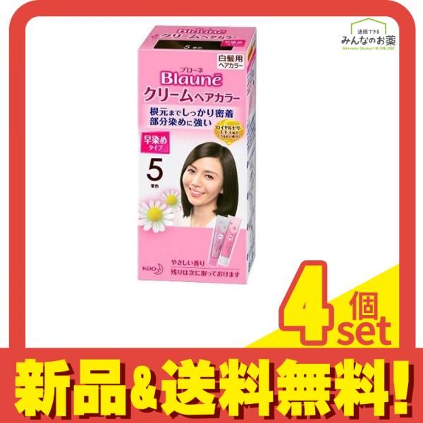 ブローネ クリームヘアカラー 5 栗色 [1剤40g+2剤40g] 1個 4個セット まとめ売り