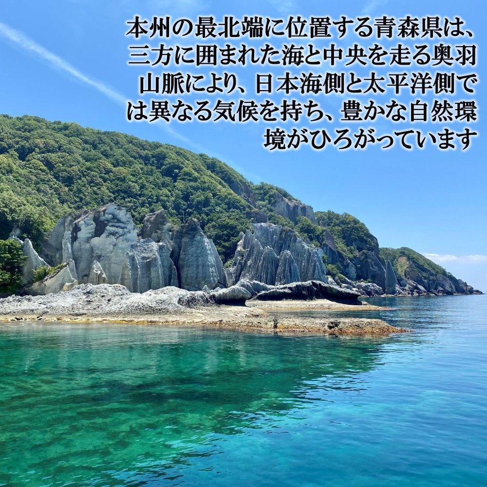 ギフト ご贈答にも