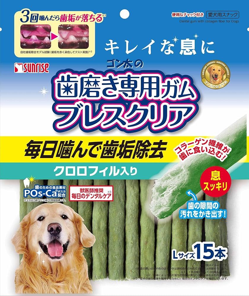 販売済み ましゃ様専用）真作/前大徳寺/平兮伯道/福寿海無量/布袋屋