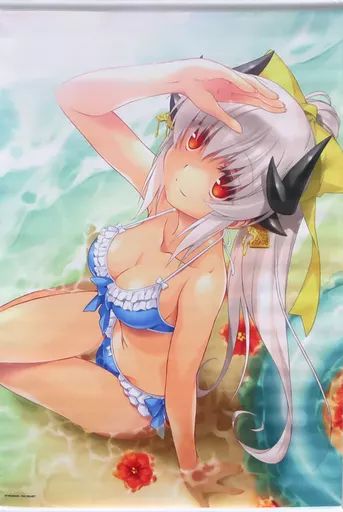 タペストリー 110.ランサー|清姫 Premium Tapestry B2タペストリー vol.4 Fate|Grand Order C95グッズ
