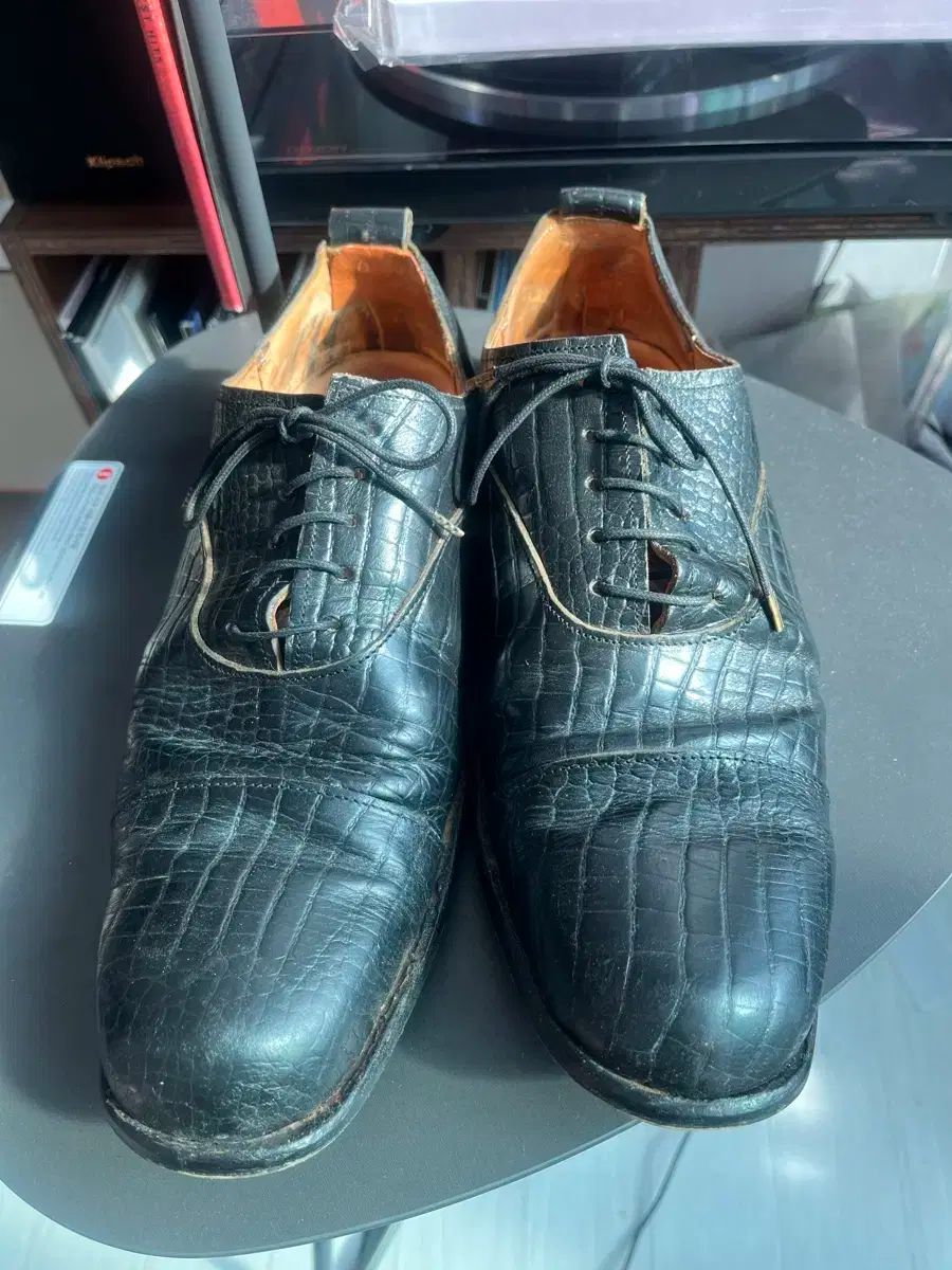 ポール・ハーデン ダービー 激レア paul harnden ポールハーデン