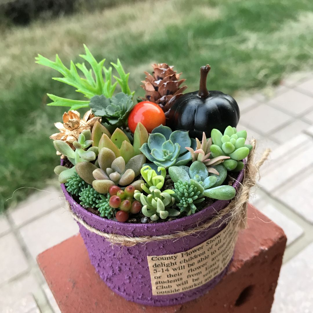 ♡そのまま飾れる♡リメ缶♬多肉植物寄せ植え╰(*´︶`*)╯♡ - メルカリ