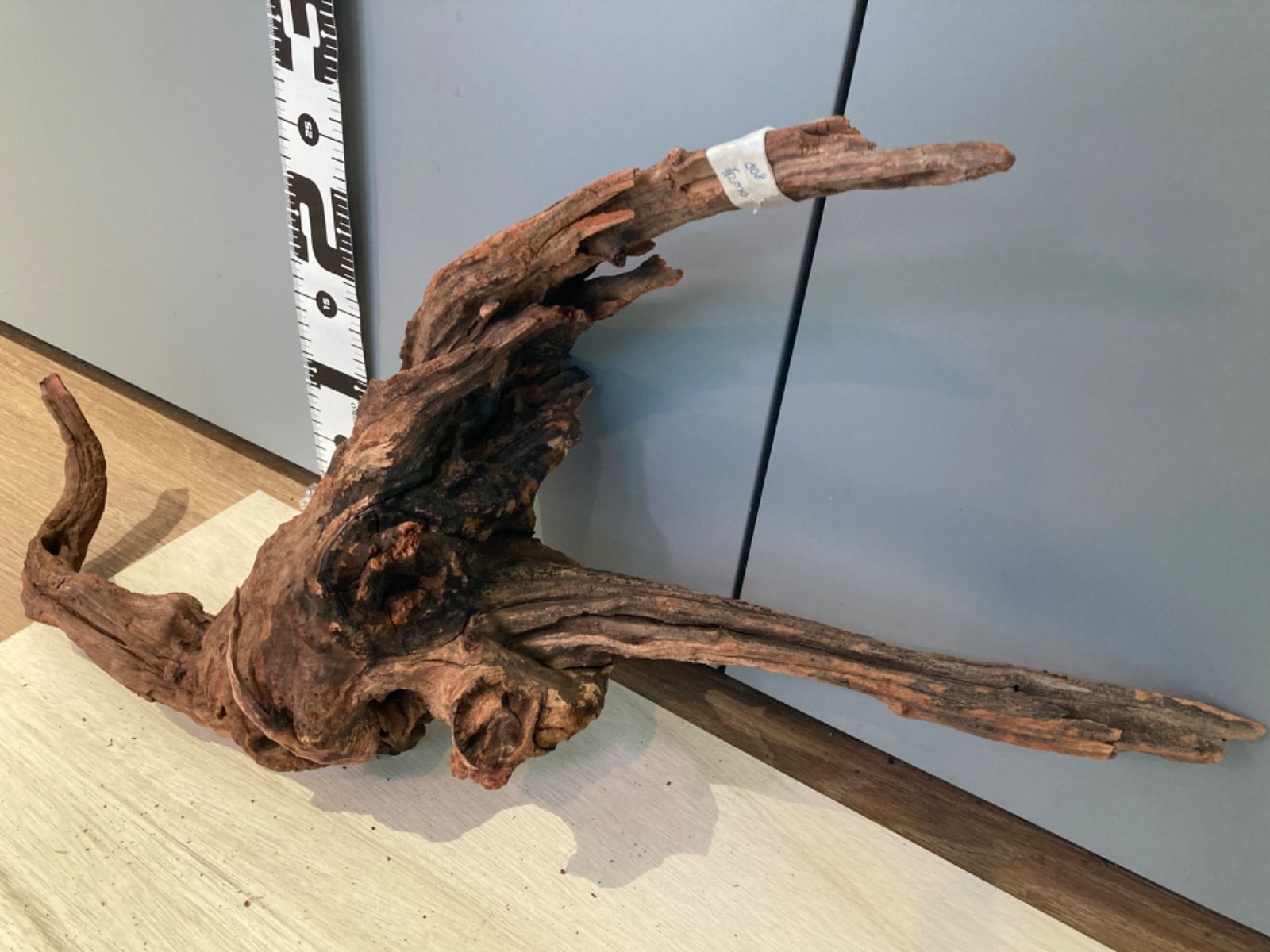 最新 ホーンウッド系流木【セレクト】808