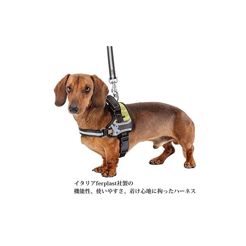 ヘラクレス