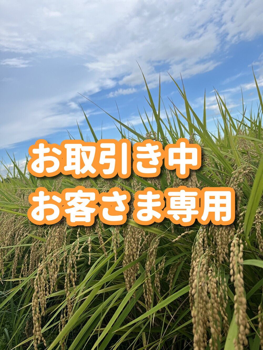 お取引き中お客さま 茨城県産 にじのきらめき 玄米１０㎏