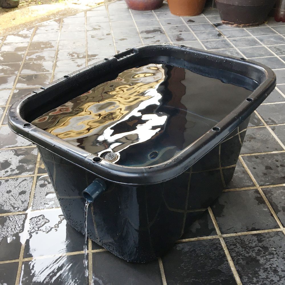 大雨でも安心なメダカ飼育容器
