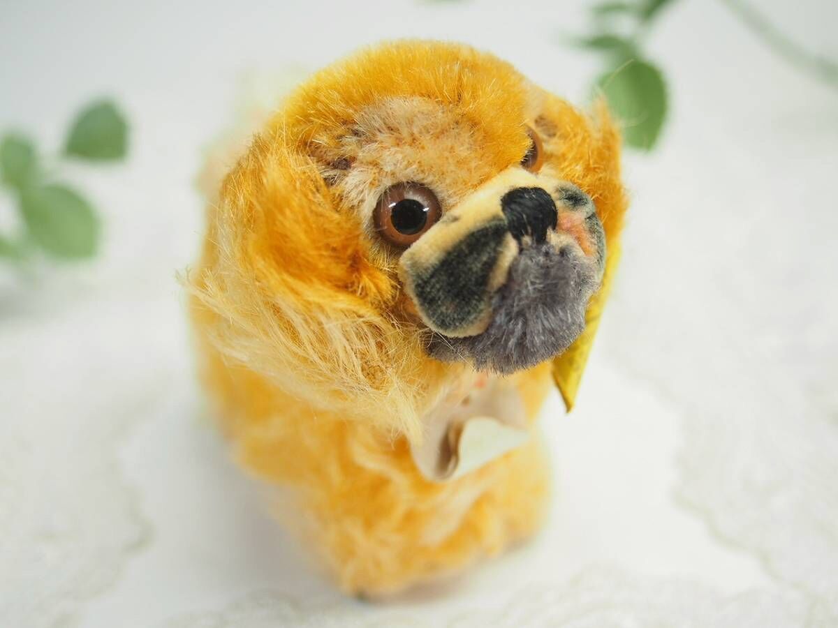 シュタイフ★Pekinese Peky 22㎝ ID's完品★ペキニーズのペキー