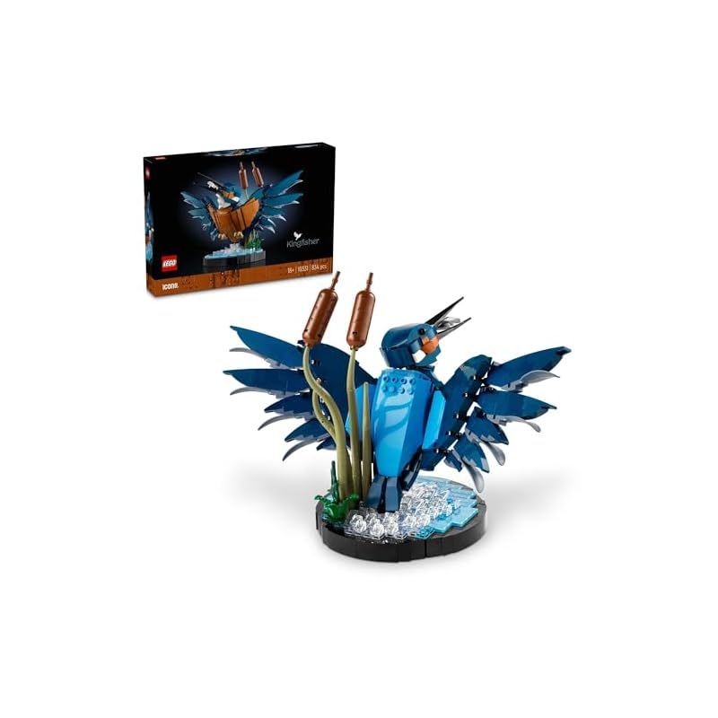 大白蓮華 昭和37年2月号〜昭和39年11月号まで、不揃い 大白蓮華 昭和45