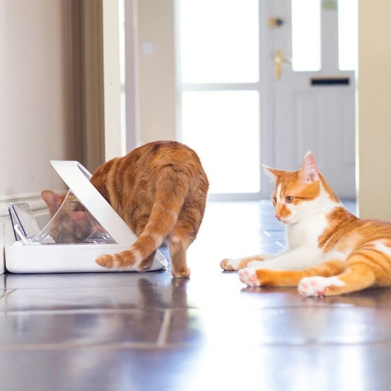 Sureflap
