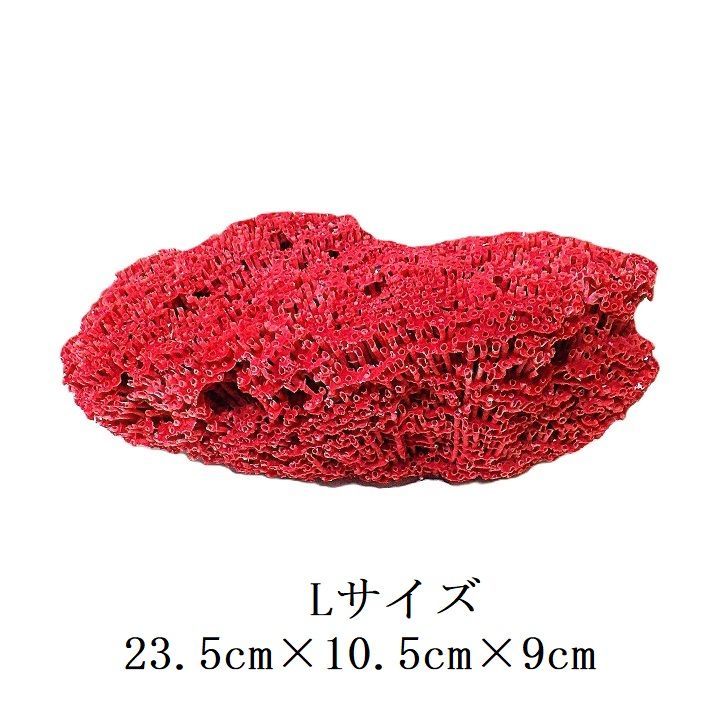 サンゴ 置物 サンゴ礁 珊瑚礁 パイプオルガン珊瑚 珊瑚 サンゴ 赤珊瑚