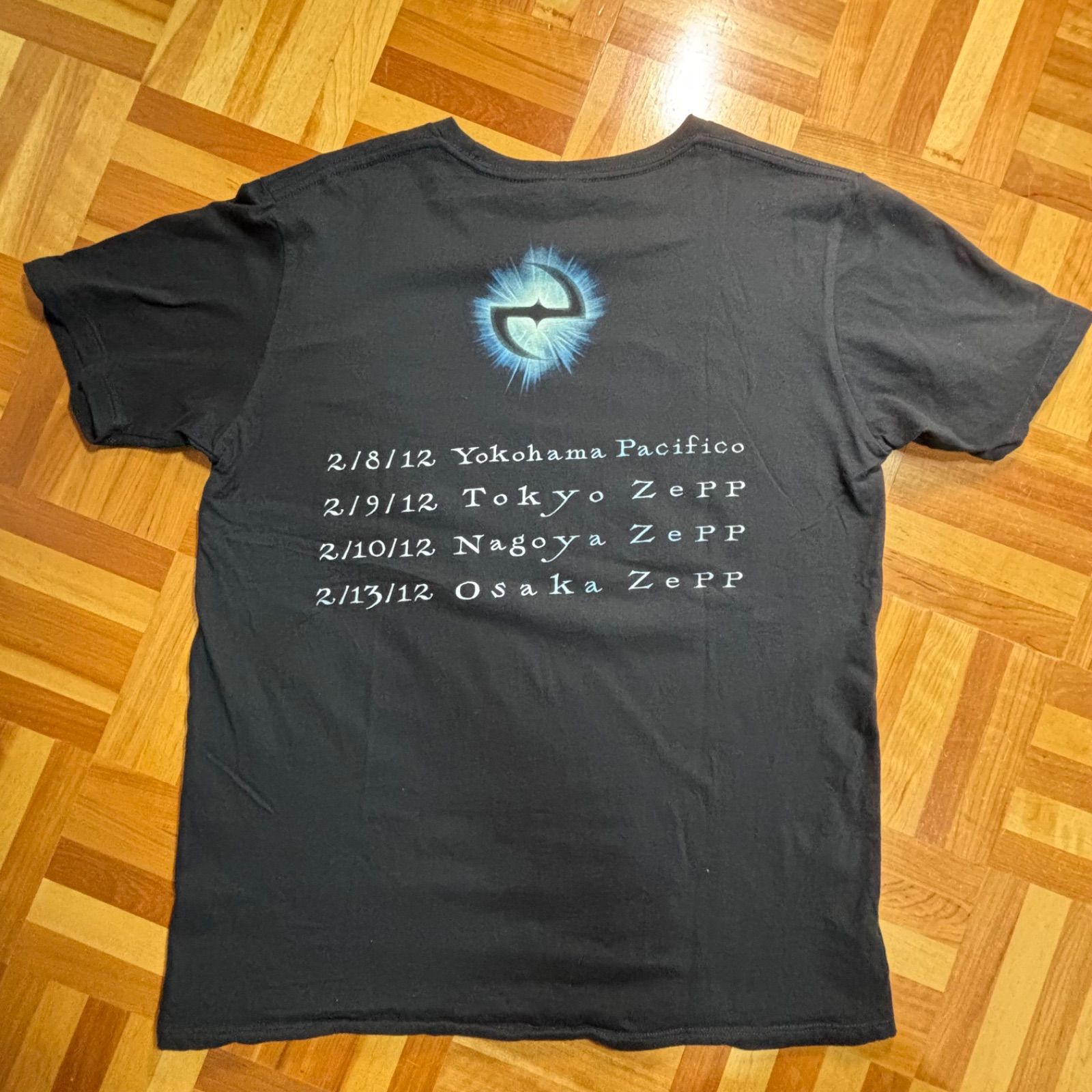 Evanescence エヴァネッセンス ツアー Tシャツ バンＴ ブラック us古着 L エヴァネッセンス tシャツ ミュージックティー バンT