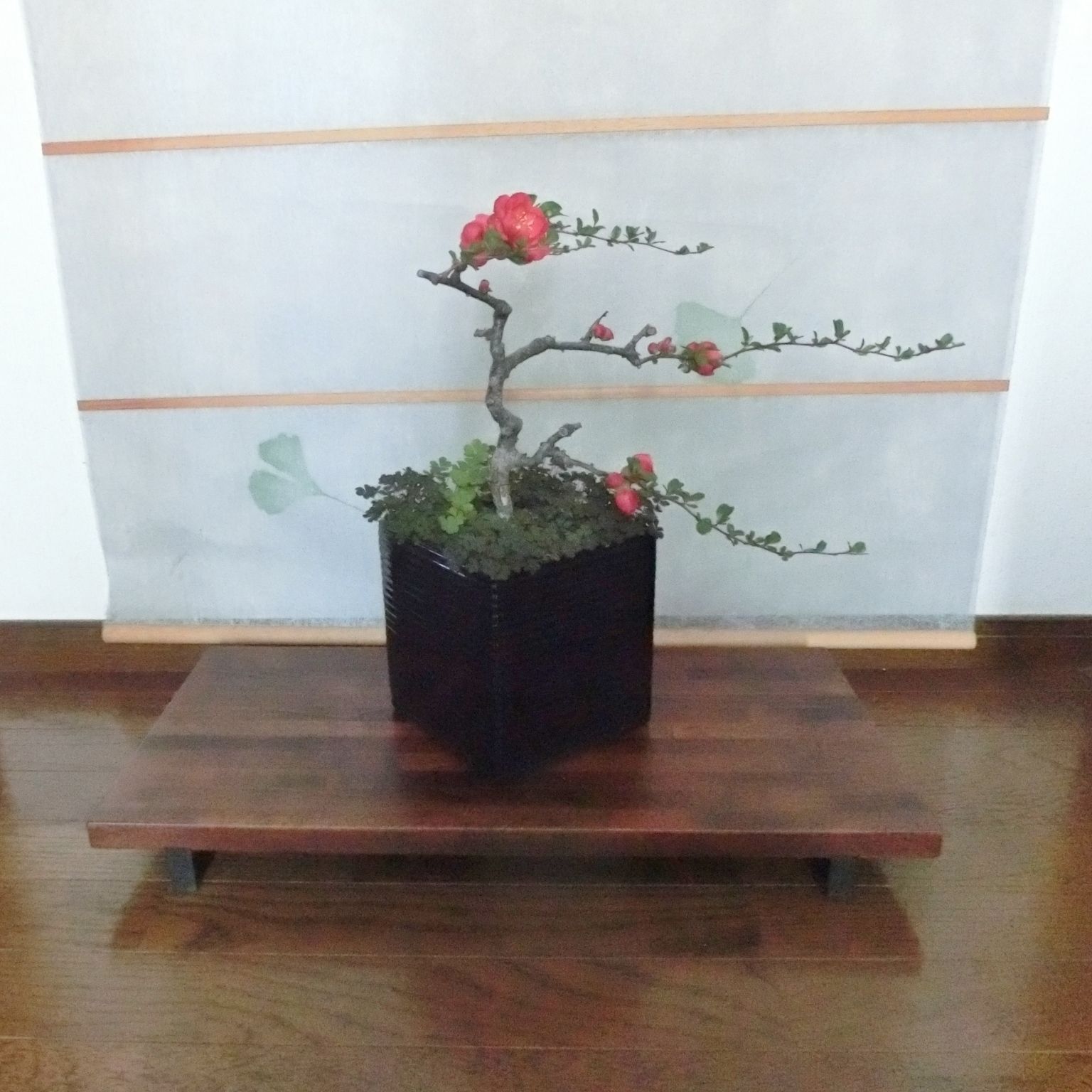 本格派 花台 木製 多目的台 幅60cm 奥行30cm 高さ6cm 12番 - PARTITION