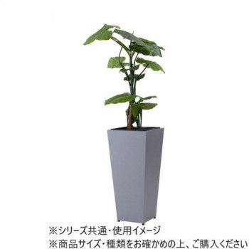 プランター