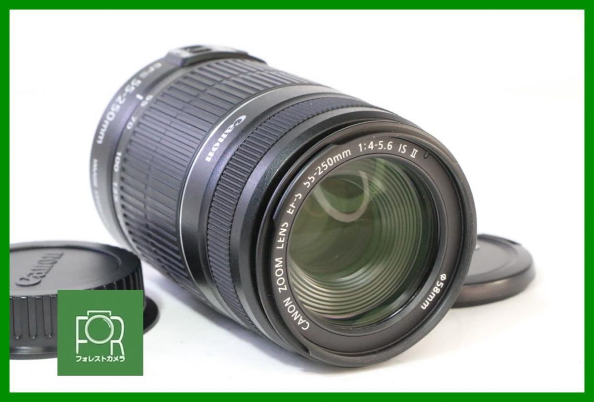 Canon 望遠レンズEFS55-250mmレンズプロテクター付