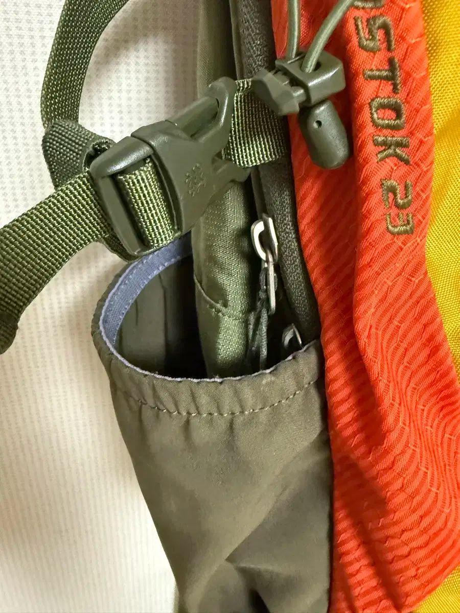 Kolon