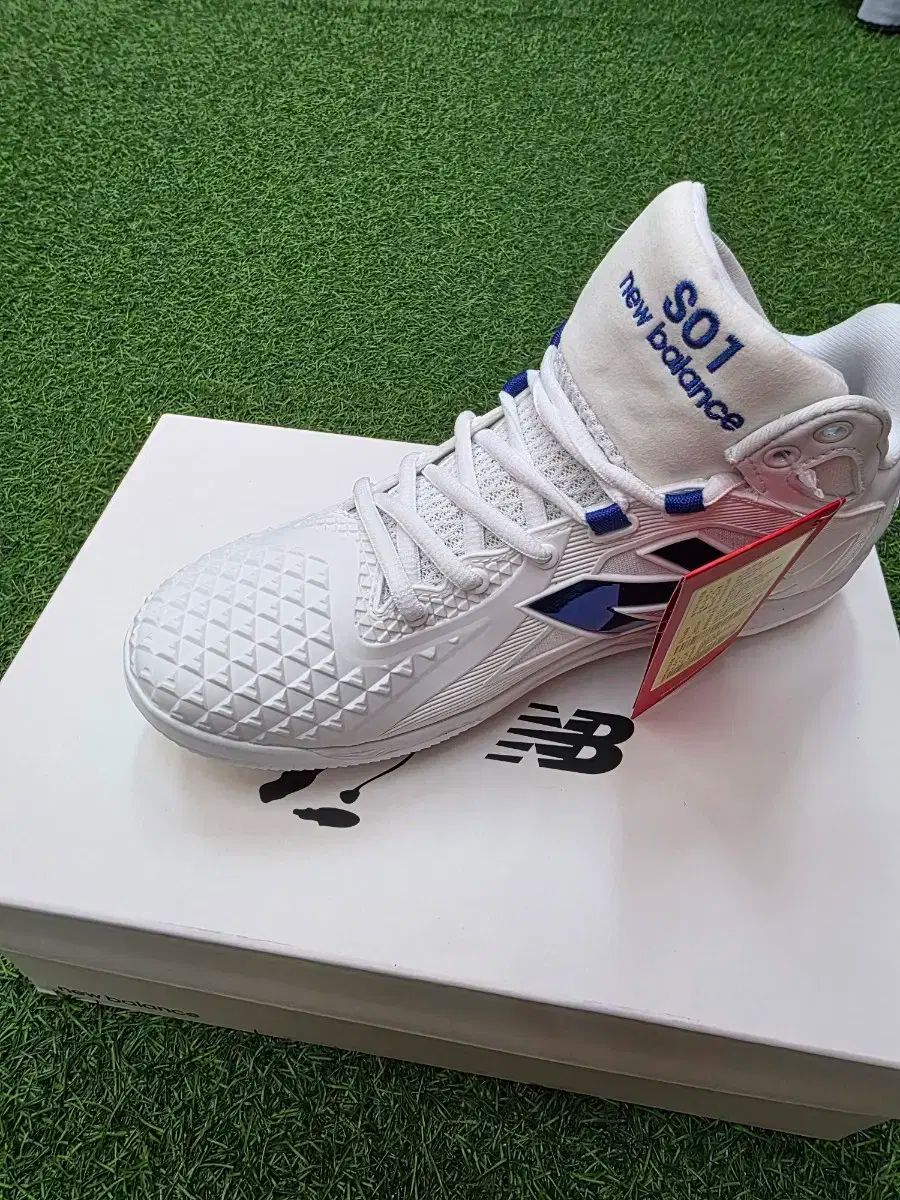 大谷エディショングリーン