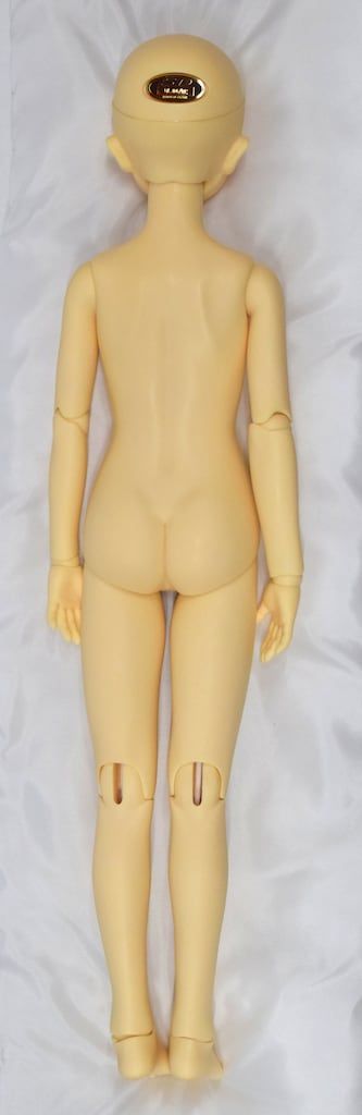 ここ