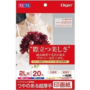 （まとめ） Digio2 インクジェットプリンタ用紙 印画紙タイプ 2L／20枚 JPSK2-2L-20