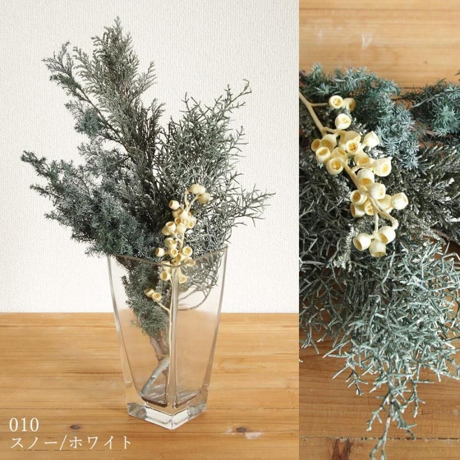 即日出荷 コニファーミックス