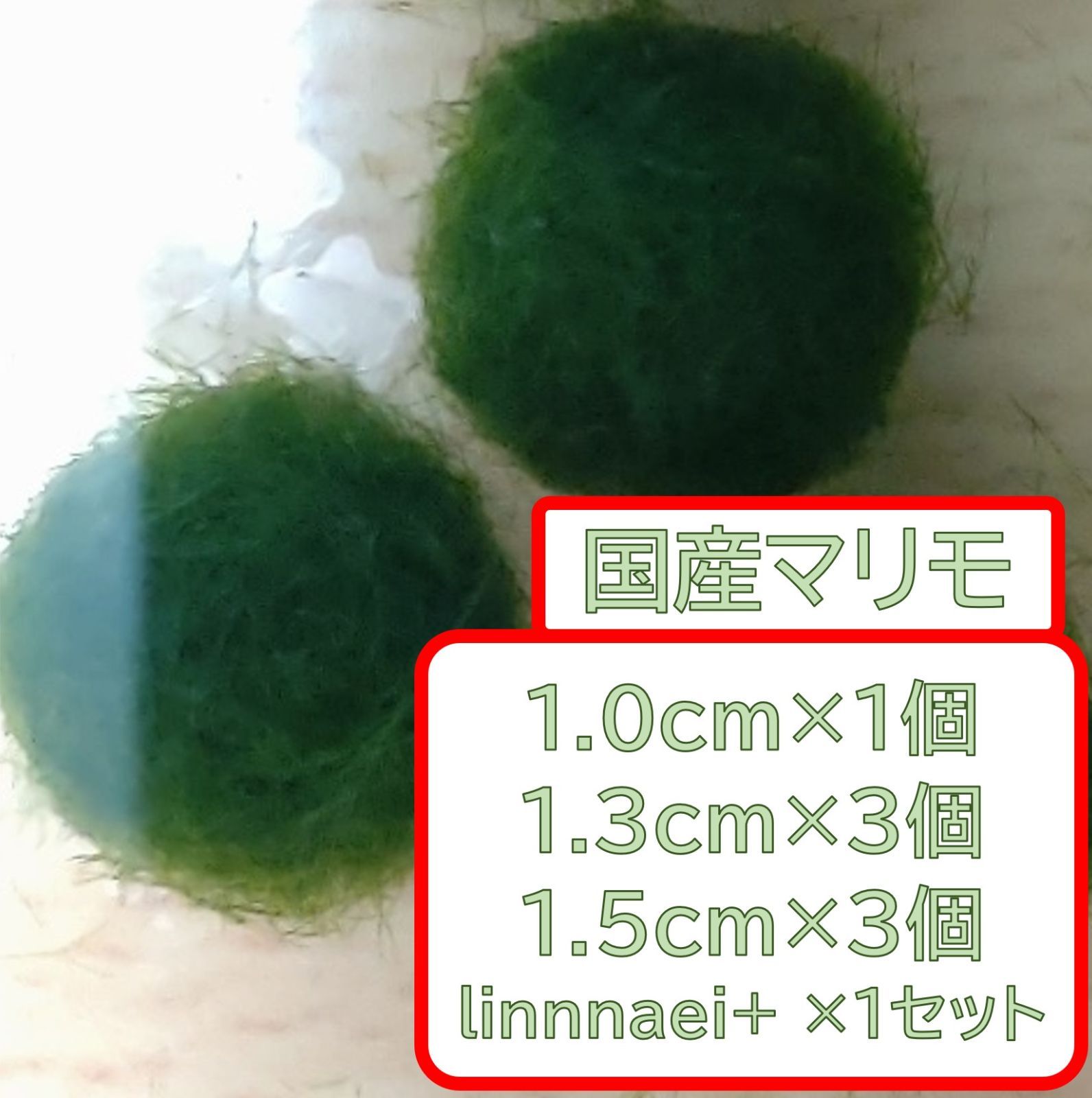 国産マリモ 約１cm 3個 癒しのマリモ無農薬 - 水草