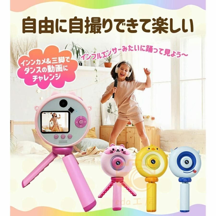 写真 動画