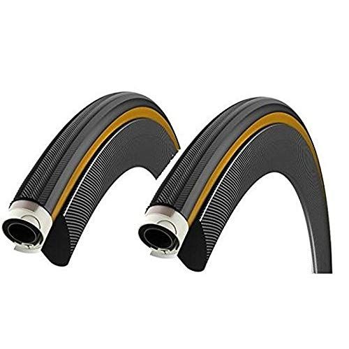 BOTOCARE Intensive Ampoule +アイクリーム 2点セット クリアランス