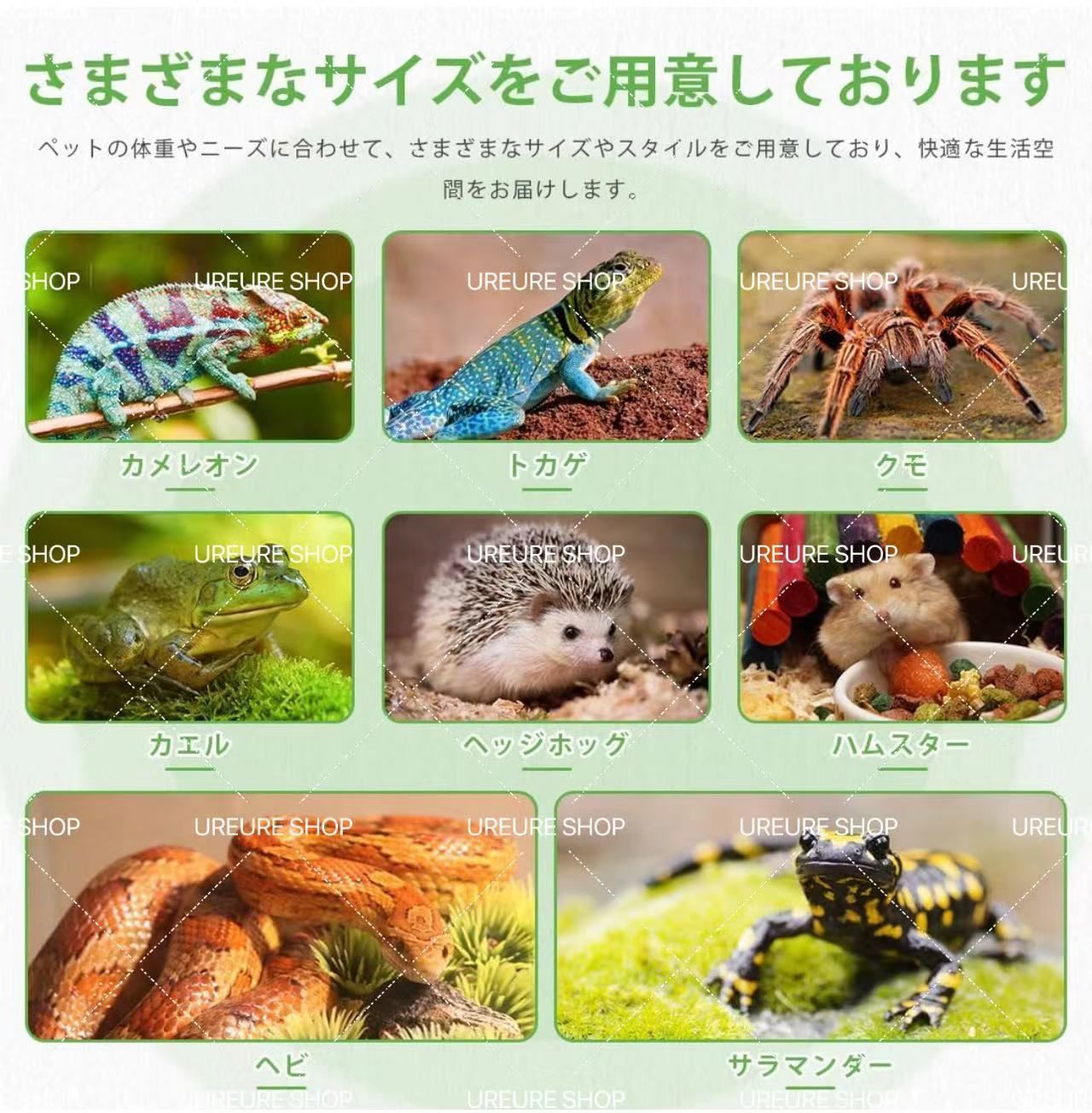 爬虫類 ケージ レオパ ケージ 80x40x40cm 木製飼育ケージトカゲ 飼育セット 通気性 の給餌ボックス レプタイルボックス 両生類生息地  テラリウム ヒョウモントカゲモドキ ケージ 恒温 飼育 箱＆湿度計付き ヤモリ、トカゲ、クモ、サソリ、カメ - メルカリ