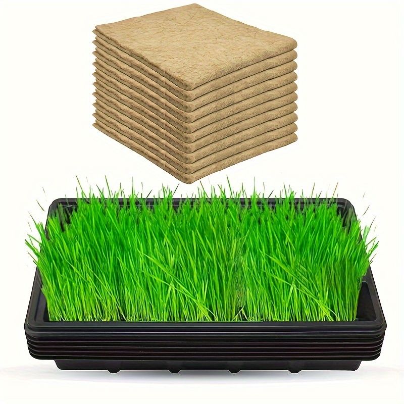 水耕栽培マイクログリーン栽培に特徴のプラスチックトレイとヘンプマットを備えたもの 小麦グラスやマイクログリーン用に設計された正方形の発芽セット