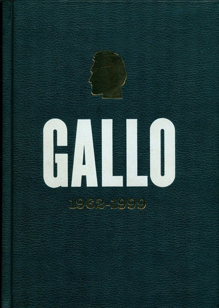 When | Vincent Gallo | Warp Records Vincent Gallo when レコード