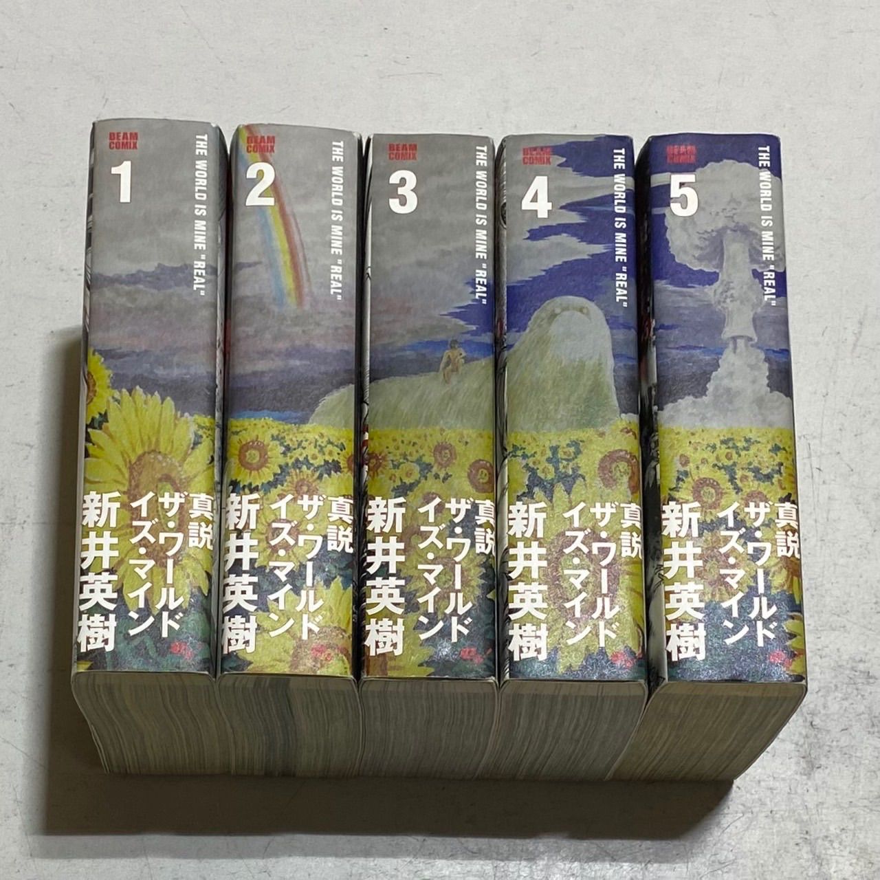 真説 ザ・ワールド・イズ・マイン コミック 全5巻完結セット